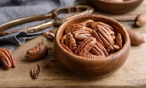 Полезны ли орехи пекан? Вы должны обратить на это внимание