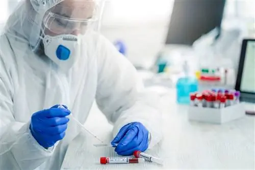 Случаи гепатита у детей: RKI сообщает о первом случае заболевания в Германии