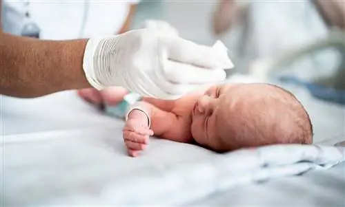 В поисках роддома: Какой роддом правильный?