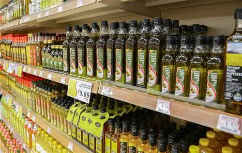 Оливковое масло в Эко-тесте: 16 из 19 не прошли тест