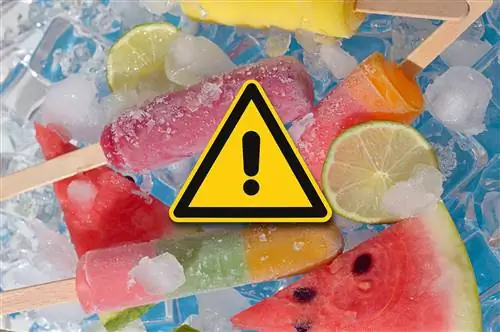 Stiftung Warentest: Это мороженое вызывает сомнения