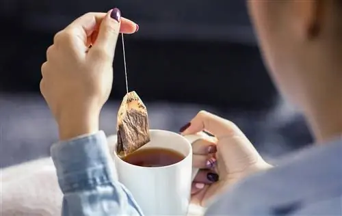 Не выбрасывайте использованные чайные пакетики: на то они и годятся