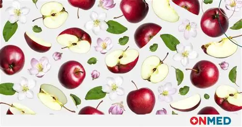 Яблоки: свежие, вареные или в соку? Когда они наиболее полезны для здоровья?