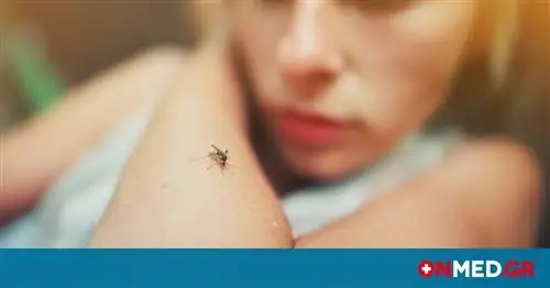 Укус комара: почему нельзя чесать место