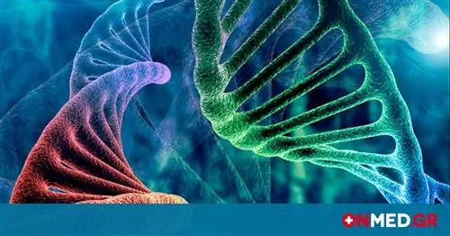 Иммунотерапия: большая надежда на лечение рака