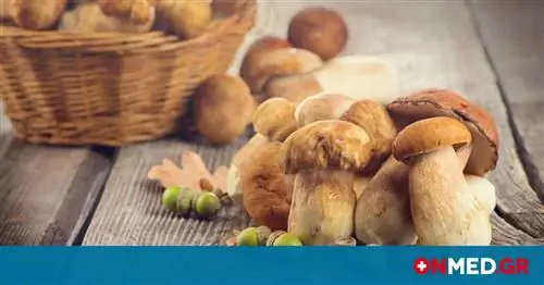 Грибы - лучшая еда против старения. Какой сорт содержит больше всего антиоксидантов