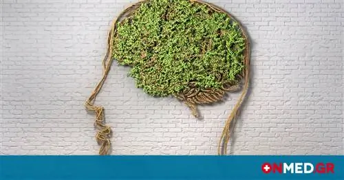 Хотите «острый» ум до старости? Следуйте 7 советам экспертов