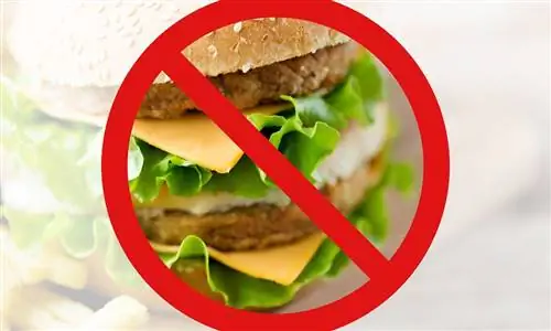 Что нужно сократить, чтобы похудеть – жиры или углеводы?