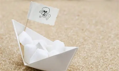 У вас есть сахарная зависимость? Тест из 8 вопросов