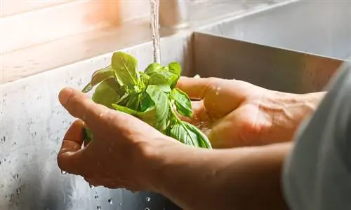 Ингредиент, который защищает от болезней сердца & рака и продлевает жизнь