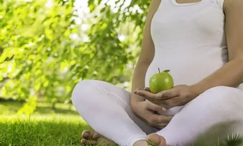 Лечение изжоги и расстройства желудка во время беременности натуральными средствами