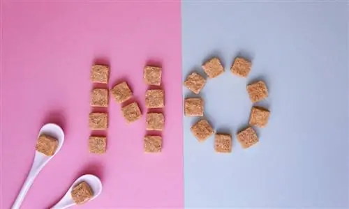 Сахар: шесть эффектов на разум и тело, помимо набора веса