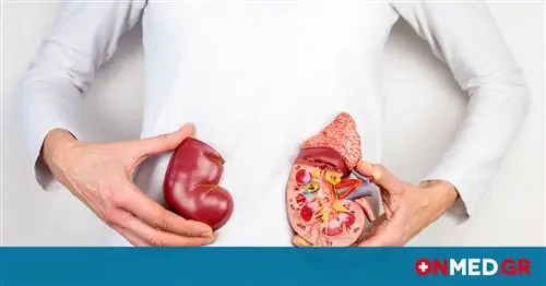 Всемирный день почки: 8 «золотых правил» защиты почек