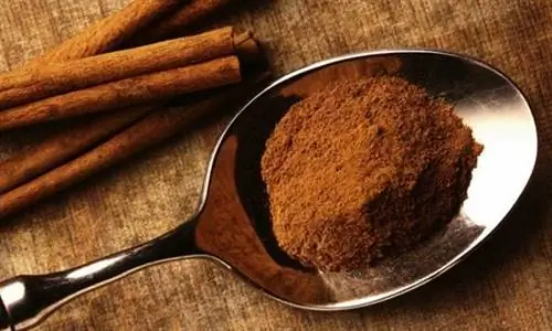Как корица помогает контролировать диабет