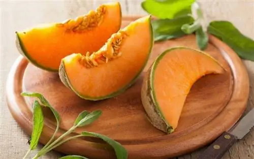 Дыня: калорийность и пищевая ценность «золотой» дыни