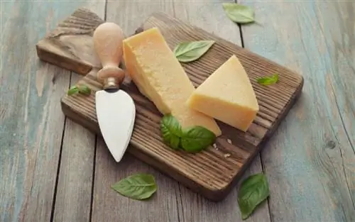 Вкусный сыр, который снимает давление