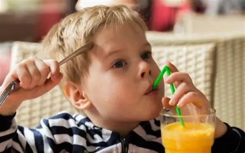 Пищевая ценность завтрака для детей и подростков