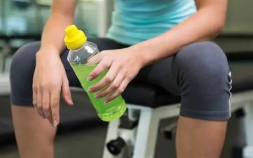 Какое упражнение сжигает больше всего жира?