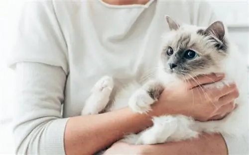 Что ваш питомец говорит о вашей личности