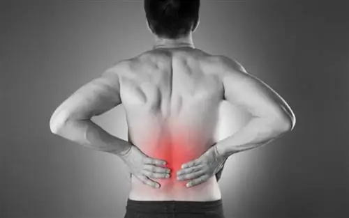 Всемирный день почки: действуйте вовремя для своих почек