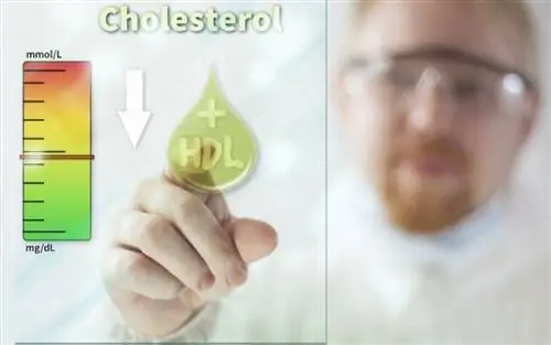 «Хороший» холестерин не всегда полезен для сердца