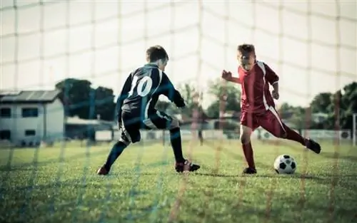 Детское & упражнение: тип, интенсивность, частота & продолжительность, рекомендованная экспертами