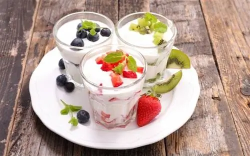 Пробиотики & пребиотики: отличия и преимущества