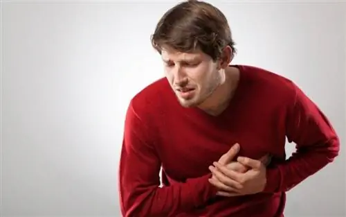 Ишемическая болезнь сердца: что нужно есть, чтобы снизить риск