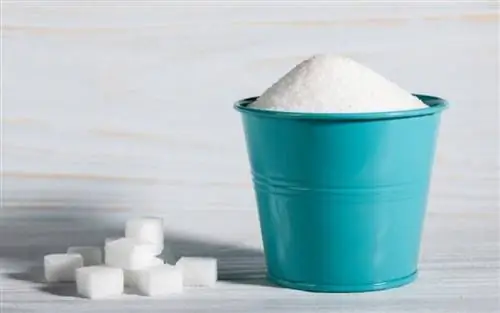 Тест: зависимы ли вы от сахара?