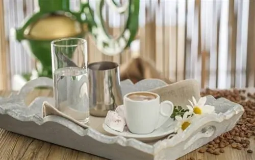 Какой любимый напиток снижает риск болезни Паркинсона, Альцгеймера & Диабет