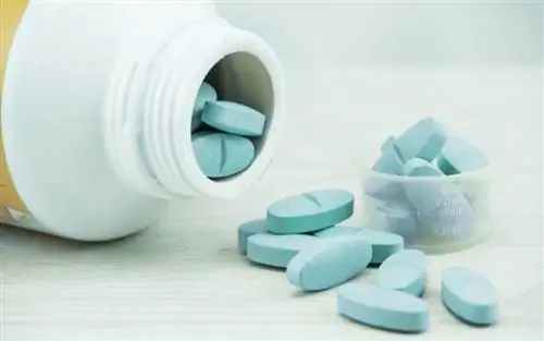 PFS: Инициатива по защите пациентов от поддельных лекарств, циркулирующих в Интернете