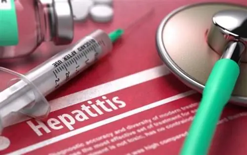 Хронический гепатит С: комбинированное лечение МСД дает впечатляющие результаты для пациентов