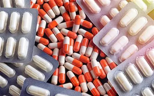 ISA: Сотрудничество с Ассоциацией теннисных клубов 8-го региона по сбору медикаментов