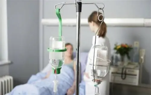 ПОЕДИН: Меморандумы разрушают Здоровье