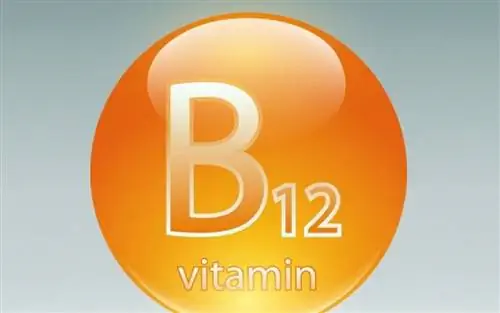 Дефицит витамина B12: каковы симптомы