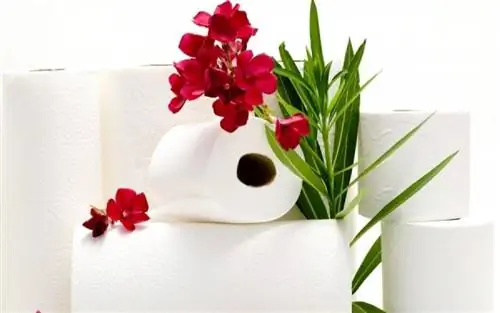 Геморрой: не позволяйте проблеме разрастаться - Эффективное лазерное решение