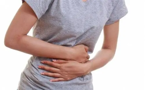 Нарушения цикла: чем они вызваны, каковы основные симптомы