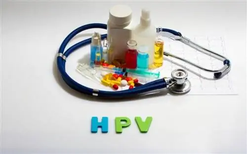 Внешние бородавки: трава, которая устраняет их на 50%