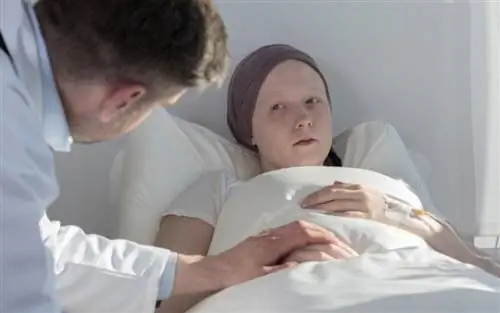 Онкологи-патологи Греции: 40% случаев рака можно предотвратить, но в стране нет Национального плана