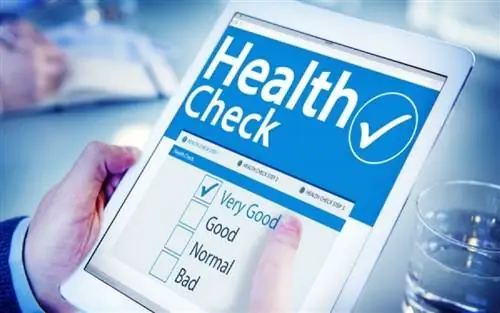 Тесты на рак: узнайте, какие из них вы имеете право пройти бесплатно и без участия