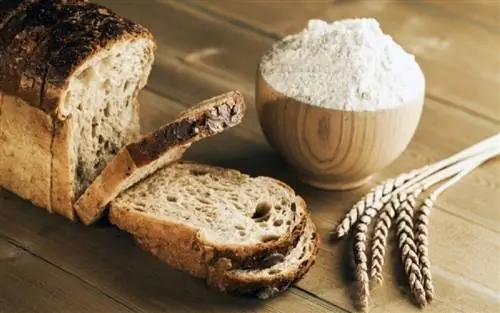 Что такое хлеб и мука Dinkel, который считается новым трендом в похудении