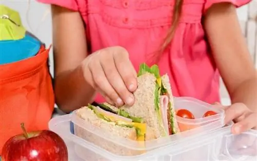 Какая диета повышает успеваемость в школе