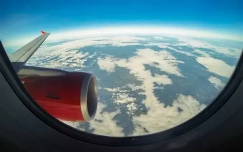 Заткнули уши в самолете - что делать