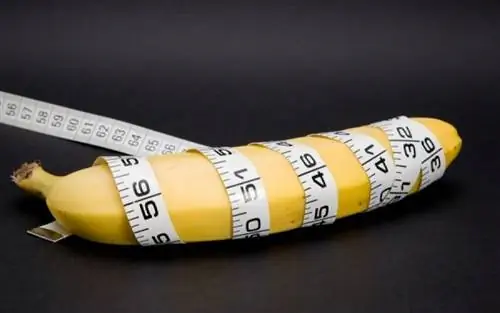 4 наиболее часто задаваемых вопроса о размерах родинок у мужчин