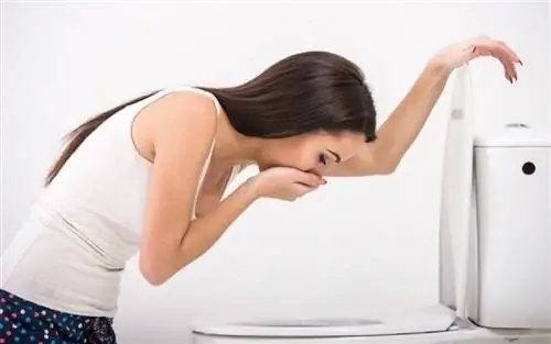 Растет число случаев гастроэнтерита – что делать