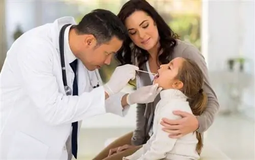 Привилегированные экзамены для наших маленьких друзей перед началом учебного года от Афинского педиатрического центра