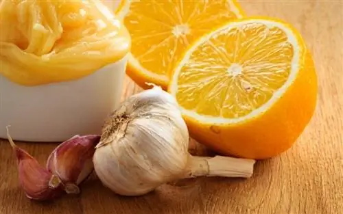 7 правил питания, которые помогут победить простуду