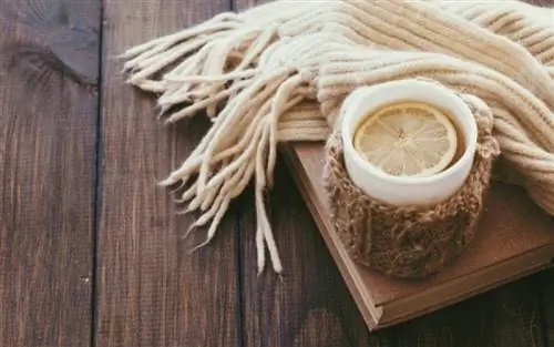 Чай: пять уникальных видов, которые «сжигают» жир