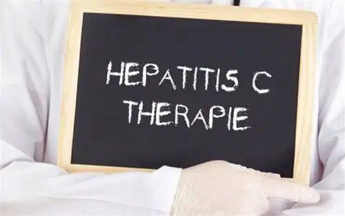 Надежды на излечение от хронического гепатита С с помощью новой схемы лечения
