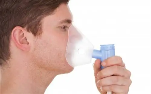 Муковисцидоз: сухой порошок маннитола для ингаляций доступен в Греции и на Кипре